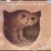 ヒメ日記 2024/12/14 00:10 投稿 美子（みこ） マダムロゼ