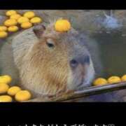 ヒメ日記 2024/12/21 18:40 投稿 美子（みこ） マダムロゼ