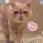 ヒメ日記 2024/12/30 19:12 投稿 美子（みこ） マダムロゼ