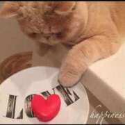 ヒメ日記 2025/02/12 23:56 投稿 美子（みこ） マダムロゼ