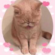 ヒメ日記 2025/02/28 19:08 投稿 美子（みこ） マダムロゼ