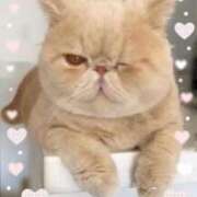 ヒメ日記 2025/03/01 09:20 投稿 美子（みこ） マダムロゼ