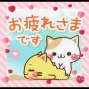 ヒメ日記 2025/03/17 16:54 投稿 美子（みこ） マダムロゼ