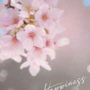 ヒメ日記 2025/03/24 11:24 投稿 美子（みこ） マダムロゼ