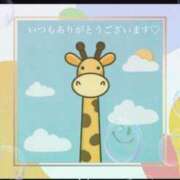 ヒメ日記 2025/03/26 15:56 投稿 美子（みこ） マダムロゼ