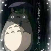 ヒメ日記 2025/03/27 09:46 投稿 美子（みこ） マダムロゼ