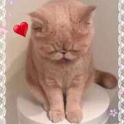 ヒメ日記 2025/03/31 09:38 投稿 美子（みこ） マダムロゼ