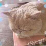 ヒメ日記 2025/04/08 14:10 投稿 美子（みこ） マダムロゼ