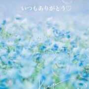 ヒメ日記 2025/04/13 12:46 投稿 美子（みこ） マダムロゼ