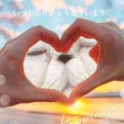 ヒメ日記 2025/04/15 18:20 投稿 美子（みこ） マダムロゼ