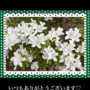 ヒメ日記 2025/04/19 18:06 投稿 美子（みこ） マダムロゼ