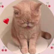 ヒメ日記 2025/04/30 22:12 投稿 美子（みこ） マダムロゼ