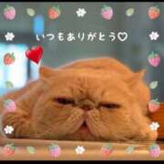 ヒメ日記 2025/05/01 09:28 投稿 美子（みこ） マダムロゼ