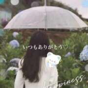 ヒメ日記 2025/05/17 11:04 投稿 美子（みこ） マダムロゼ