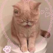 ヒメ日記 2025/05/31 20:22 投稿 美子（みこ） マダムロゼ