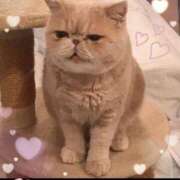 ヒメ日記 2025/06/01 13:12 投稿 美子（みこ） マダムロゼ