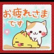 ヒメ日記 2025/06/02 17:46 投稿 美子（みこ） マダムロゼ