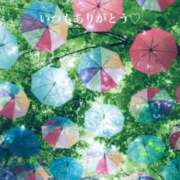 ヒメ日記 2025/06/09 16:52 投稿 美子（みこ） マダムロゼ