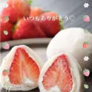 ヒメ日記 2025/06/12 15:06 投稿 美子（みこ） マダムロゼ