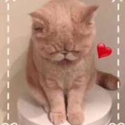 ヒメ日記 2025/06/30 22:02 投稿 美子（みこ） マダムロゼ