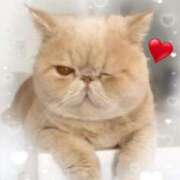 ヒメ日記 2025/07/01 09:16 投稿 美子（みこ） マダムロゼ