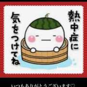 ヒメ日記 2025/07/08 14:16 投稿 美子（みこ） マダムロゼ