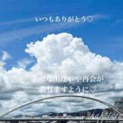 ヒメ日記 2025/07/11 14:38 投稿 美子（みこ） マダムロゼ
