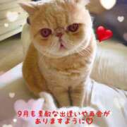 ヒメ日記 2025/09/01 11:08 投稿 美子（みこ） マダムロゼ