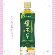 ヒメ日記 2025/09/16 15:38 投稿 美子（みこ） マダムロゼ