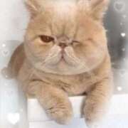 ヒメ日記 2025/09/30 22:30 投稿 美子（みこ） マダムロゼ