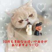 ヒメ日記 2025/10/01 08:16 投稿 美子（みこ） マダムロゼ