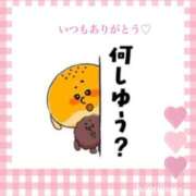 ヒメ日記 2025/10/03 18:20 投稿 美子（みこ） マダムロゼ