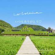 ヒメ日記 2025/10/09 15:36 投稿 美子（みこ） マダムロゼ