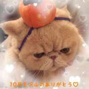 ヒメ日記 2025/10/31 19:22 投稿 美子（みこ） マダムロゼ