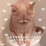 ヒメ日記 2025/11/01 09:08 投稿 美子（みこ） マダムロゼ