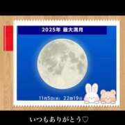 ヒメ日記 2025/11/05 12:14 投稿 美子（みこ） マダムロゼ