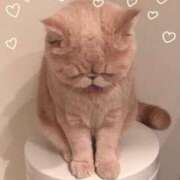 ヒメ日記 2025/12/01 00:02 投稿 美子（みこ） マダムロゼ