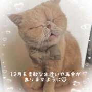 ヒメ日記 2025/12/01 08:38 投稿 美子（みこ） マダムロゼ