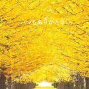 ヒメ日記 2025/12/06 17:40 投稿 美子（みこ） マダムロゼ