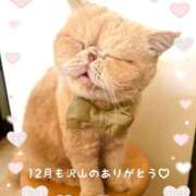 ヒメ日記 2025/12/30 22:06 投稿 美子（みこ） マダムロゼ