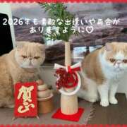 ヒメ日記 2026/01/03 09:36 投稿 美子（みこ） マダムロゼ