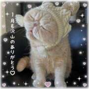 ヒメ日記 2026/01/31 19:36 投稿 美子（みこ） マダムロゼ