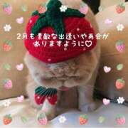 ヒメ日記 2026/02/01 08:08 投稿 美子（みこ） マダムロゼ