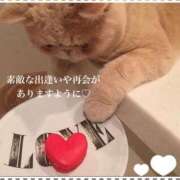 ヒメ日記 2026/02/14 09:22 投稿 美子（みこ） マダムロゼ