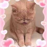 ヒメ日記 2026/02/28 23:52 投稿 美子（みこ） マダムロゼ