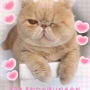 ヒメ日記 2026/03/01 08:42 投稿 美子（みこ） マダムロゼ