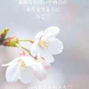 ヒメ日記 2026/03/16 14:20 投稿 美子（みこ） マダムロゼ