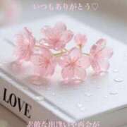 ヒメ日記 2026/03/20 11:52 投稿 美子（みこ） マダムロゼ