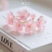 ヒメ日記 2026/03/29 15:06 投稿 美子（みこ） マダムロゼ