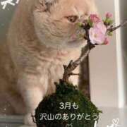 ヒメ日記 2026/03/31 20:08 投稿 美子（みこ） マダムロゼ